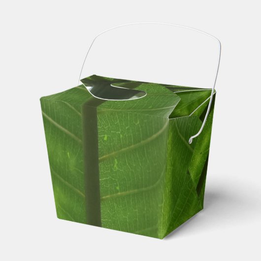 Green Pflanze Take Out Gefallen Box Geschenkschachtel (Vorderseite)