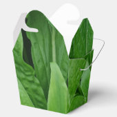 Green Pflanze Take Out Gefallen Box Geschenkschachtel (Geöffnet)