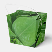 Green Pflanze Take Out Gefallen Box Geschenkschachtel (Rückseite)