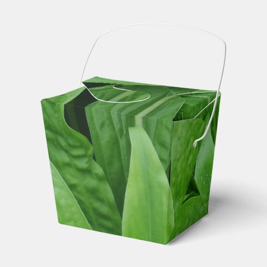 Green Pflanze Take Out Gefallen Box Geschenkschachtel (Vorderseite)