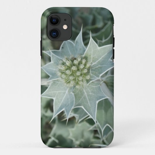Green Pflanze Thorn Summer iPhone Fall Case-Mate iPhone Hülle (Rückseite)
