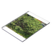 Green Pine Bush Nature Notebook Notizblock (Linke Seite)