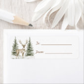 Green Pine Cones Deer Christmas (Insitu)