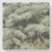 Green Pine Limbs Square Untersetzer (Vorderseite)