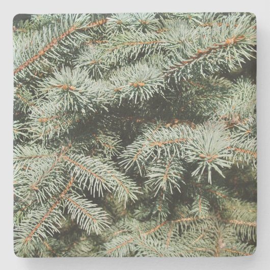 Green Pine Limbs Square Untersetzer (Vorderseite)