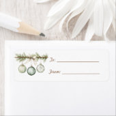 Green Pine Tree Branch Ornaments Christmas (Insitu)