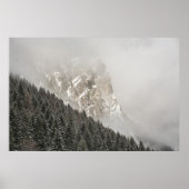 GREEN PINE TREES POSTER (Vorne)