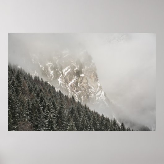 GREEN PINE TREES POSTER (Vorne)