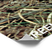 Green Pitcher-Pflanze Poster (Ecke)