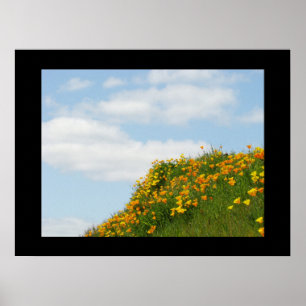 Green Poppy Meadow Fine Art Prints Blue Sky Poster