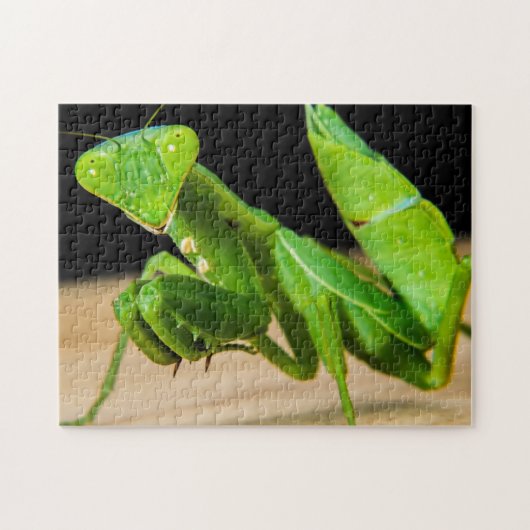 Green Praying Mantis Nah-up Foto Puzzle (Horizontal)