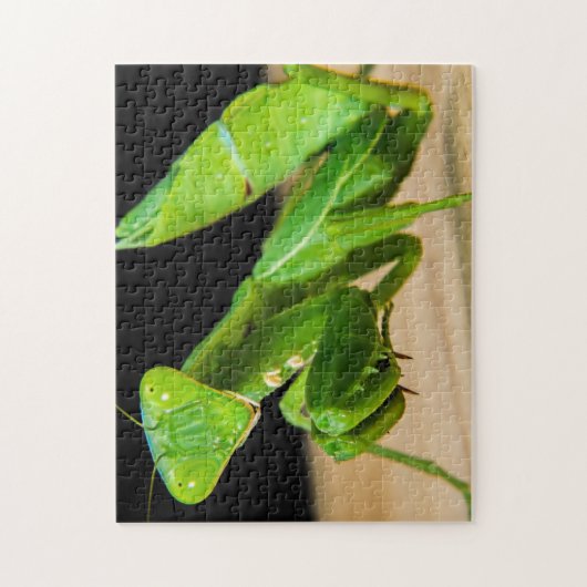 Green Praying Mantis Nah-up Foto Puzzle (Vertikal)