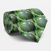 Green Pumpkin Krawatte (Gerollt)