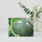 Green Pumpkin Postkarte (Stehend Vorderseite)