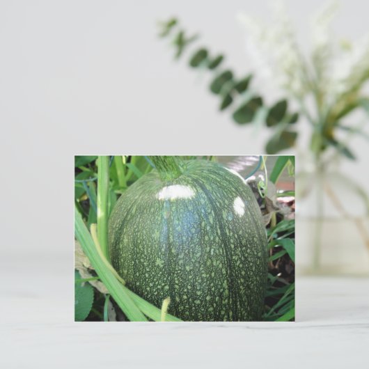 Green Pumpkin Postkarte (Stehend Vorderseite)