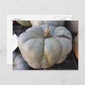 Green Pumpkin Postkarte (Vorne/Hinten)