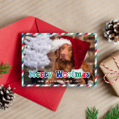 Green Red Blue Retro Merry Woofmas Weihnachten