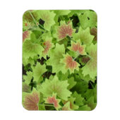 Green/Red Leafs 3"x4"-Magnet Magnet (Vertikal)