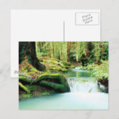 Green River Falls Postkarte (Vorne/Hinten)