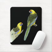 Green Rosella Pair - Platycercus caledonicus Mousepad (Mit Mouse)