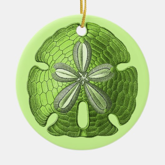 Green Sand Dollar Ornament (Vorne)