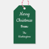 Green Santa Claus Weihnachtsgeschenke Tags Geschenkanhänger (Vorderseite)
