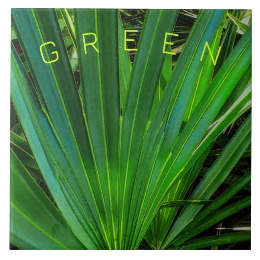 GREEN Saw Palmetto Keramik Tile Fliese (Vorderseite)