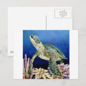 Green Sea Turtle Gazing Postkarte (Vorne/Hinten)