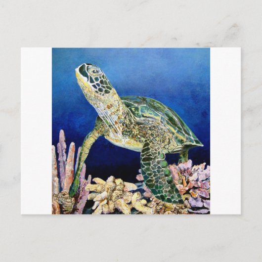Green Sea Turtle Gazing Postkarte (Vorderseite)