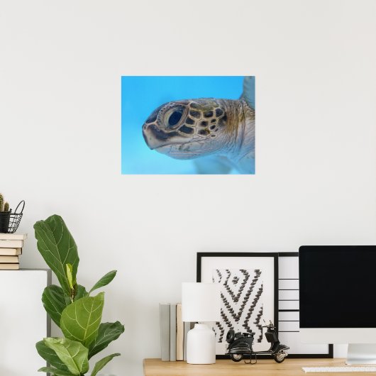 Green Sea Turtle Print Poster (Heimbüro)