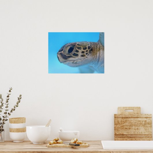 Green Sea Turtle Print Poster (Küche)
