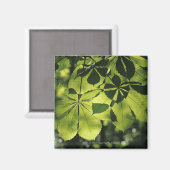 Green Seven Point Blätter mit Sun Illumination Magnet (Vorderseite/Rückseite)