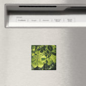 Green Seven Point Blätter mit Sun Illumination Magnet (In Situ (Geschirrspüler))