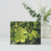 Green Seven Point Blätter mit Sun Illumination Postkarte (Stehend Vorderseite)
