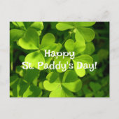 Green Shamrocks, St. Paddy's Day Postcard Postkarte (Vorderseite)