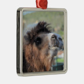 Green Smoothie the Camel Ornament (Rechts)