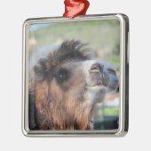 Green Smoothie the Camel Ornament (Links)