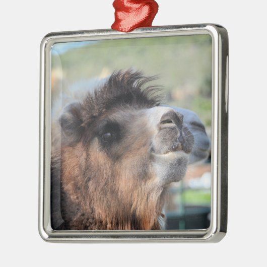 Green Smoothie the Camel Ornament (Links)