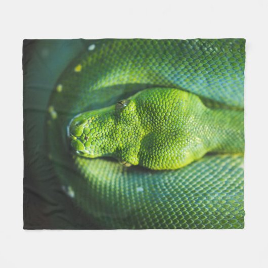 GREEN SNAKE FLEECEDECKE (Vorderseite (Horizontal))