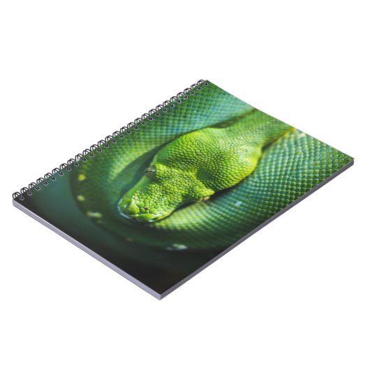 GREEN SNAKE NOTIZBLOCK (Linke Seite)