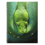 GREEN SNAKE NOTIZBLOCK (Vorderseite)