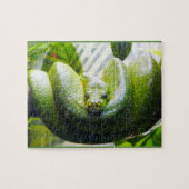 Green Snake Puzzle (Horizontal)