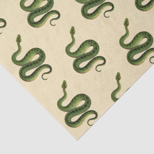 Green Snake Seidenpapier (Detail)