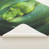 GREEN SNAKE SHERPADECKE (3/4)