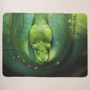 GREEN SNAKE SHERPADECKE