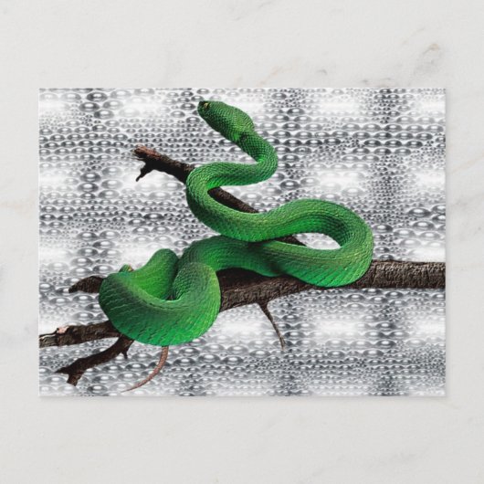 GREEN SNAKES POSTKARTE (Vorderseite)