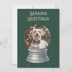 Green Snow Globe Foto Flat Holiday Card Feiertagskarte