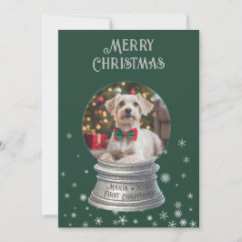 Green Snowglobe Snowflake Foto Flat Holiday Card Feiertagskarte