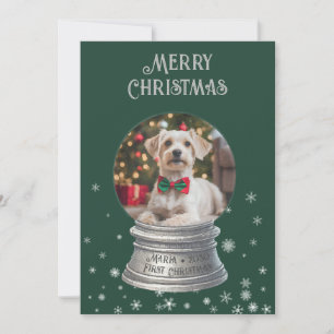 Green Snowglobe Snowflake Foto Flat Holiday Card Feiertagskarte