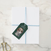 Green Snowglobe Snowflake Foto Geschenkanhänger (Mit Garn)